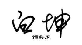 朱锡荣白坤草书个性签名怎么写