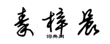 朱锡荣秦梓晨草书个性签名怎么写