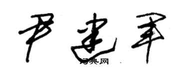 朱锡荣尹建军草书个性签名怎么写