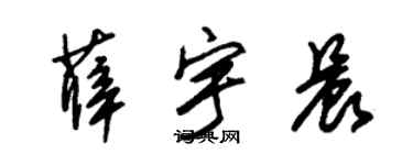 朱锡荣薛宇晨草书个性签名怎么写