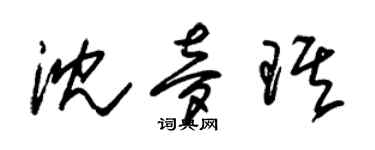 朱锡荣沈梦琪草书个性签名怎么写