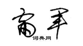 朱锡荣雷军草书个性签名怎么写