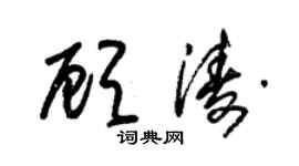 朱锡荣顾涛草书个性签名怎么写