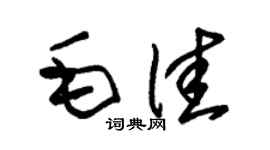 朱锡荣毛佳草书个性签名怎么写