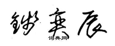 朱锡荣钱奕辰草书个性签名怎么写