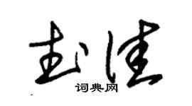 朱锡荣武佳草书个性签名怎么写