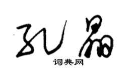 朱锡荣孔晶草书个性签名怎么写