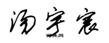 朱锡荣汤宇宸草书个性签名怎么写