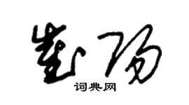朱锡荣崔阳草书个性签名怎么写
