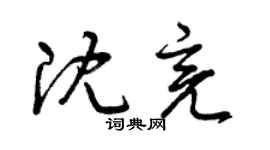 曾庆福沈亮草书个性签名怎么写