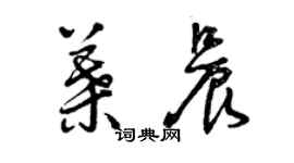 曾庆福叶晨草书个性签名怎么写
