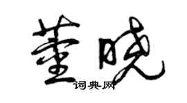 曾庆福董晓草书个性签名怎么写
