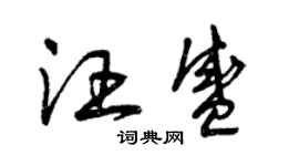 曾庆福汪盛草书个性签名怎么写