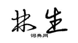 曾庆福林生草书个性签名怎么写