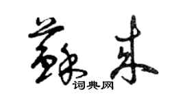 曾庆福苏来草书个性签名怎么写