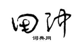 曾庆福田冲草书个性签名怎么写
