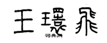 曾庆福王环飞篆书个性签名怎么写