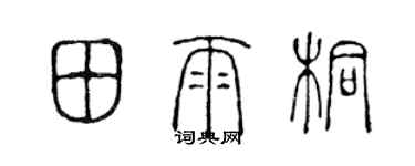 陈声远田雨桐篆书个性签名怎么写