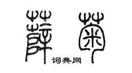 陈墨薛菊篆书个性签名怎么写