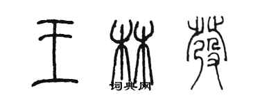 陈墨王林发篆书个性签名怎么写