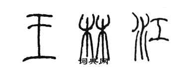 陈墨王林江篆书个性签名怎么写