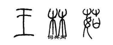 陈墨王林茹篆书个性签名怎么写