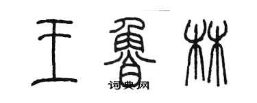 陈墨王鲁林篆书个性签名怎么写