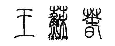 陈墨王苏春篆书个性签名怎么写