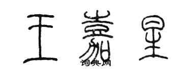 陈墨王嘉星篆书个性签名怎么写