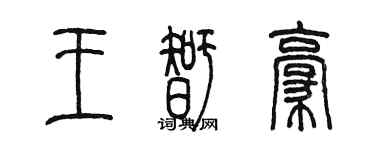 陈墨王智豪篆书个性签名怎么写
