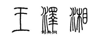 陈墨王泽湘篆书个性签名怎么写