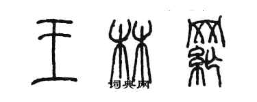 陈墨王林纲篆书个性签名怎么写