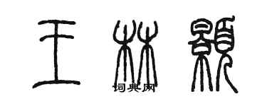 陈墨王林颢篆书个性签名怎么写