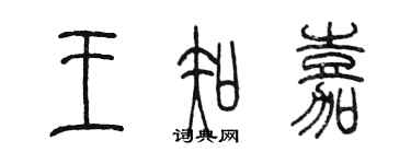 陈墨王知嘉篆书个性签名怎么写