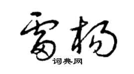 曾庆福雷杨草书个性签名怎么写
