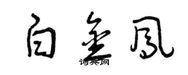 曾庆福白金凤草书个性签名怎么写