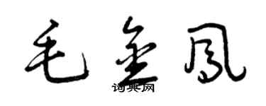 曾庆福毛金凤草书个性签名怎么写
