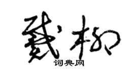 曾庆福戴柳草书个性签名怎么写