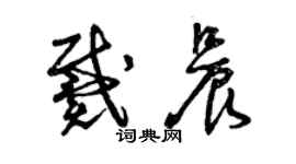 曾庆福戴晨草书个性签名怎么写