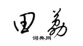 梁锦英田荔草书个性签名怎么写