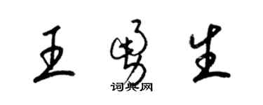梁锦英王勇生草书个性签名怎么写