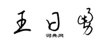 梁锦英王日勇草书个性签名怎么写