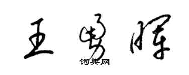 梁锦英王勇晖草书个性签名怎么写