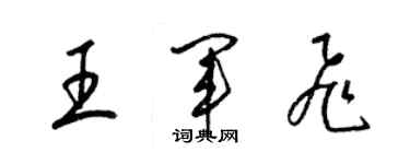 梁锦英王军飞草书个性签名怎么写