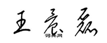 梁锦英王晨磊草书个性签名怎么写