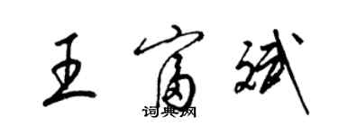 梁锦英王富斌草书个性签名怎么写