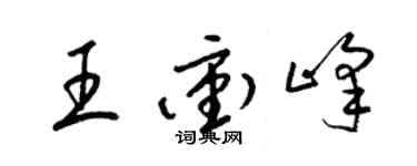 梁锦英王冲峰草书个性签名怎么写
