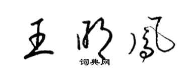 梁锦英王明凤草书个性签名怎么写