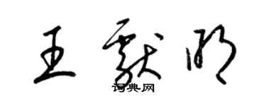 梁锦英王献明草书个性签名怎么写