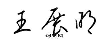 梁锦英王展明草书个性签名怎么写